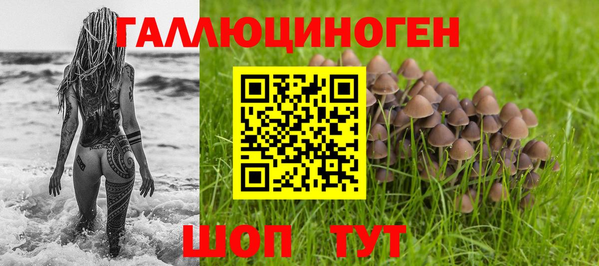 Псилоцибиновые грибы ЛСД Фурманов